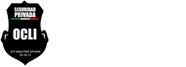 Ocli Seguridad Privada