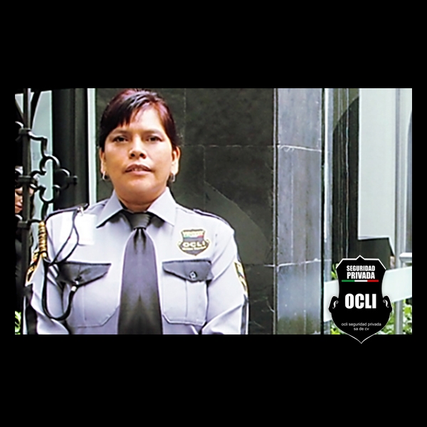 Elementos de Seguridad
